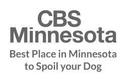 CBS Minnesota Best of Award