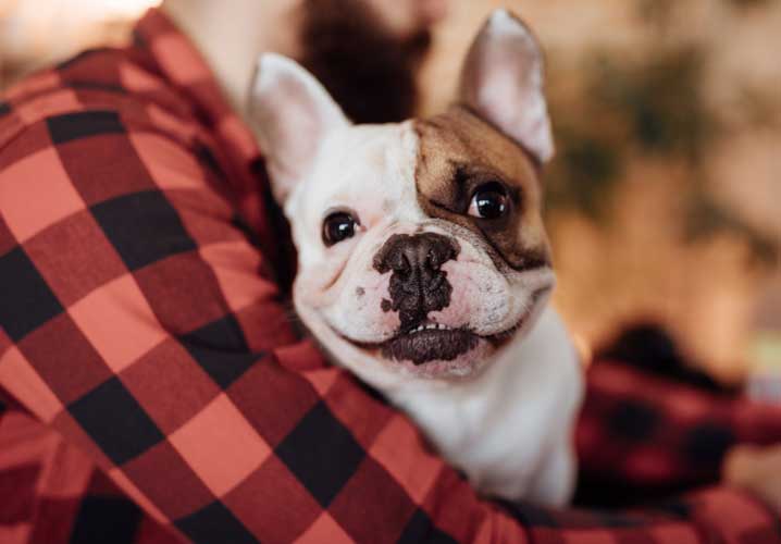 Man holding a smiling dog