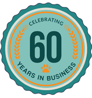 60 year anniversary
