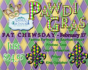 Pawdi Gras Flyer proof