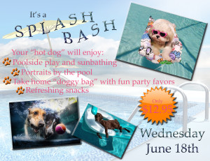 SplashBash